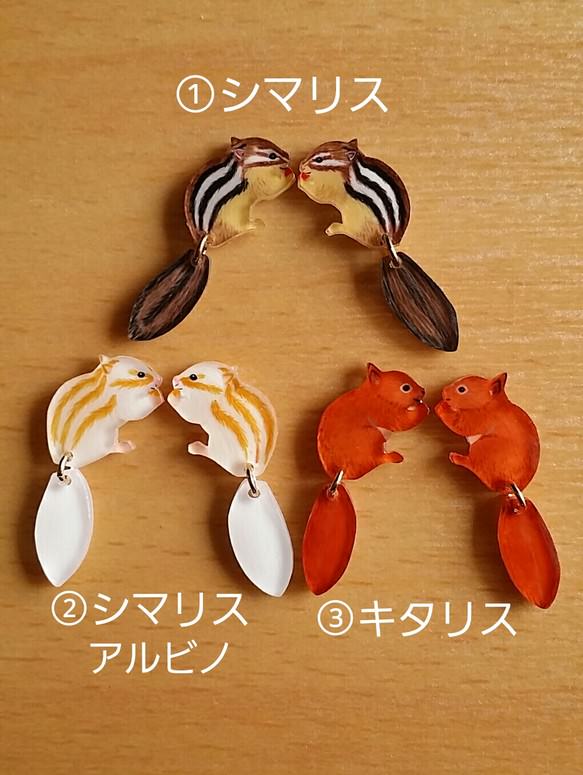 mia リス イヤリング/ピアス